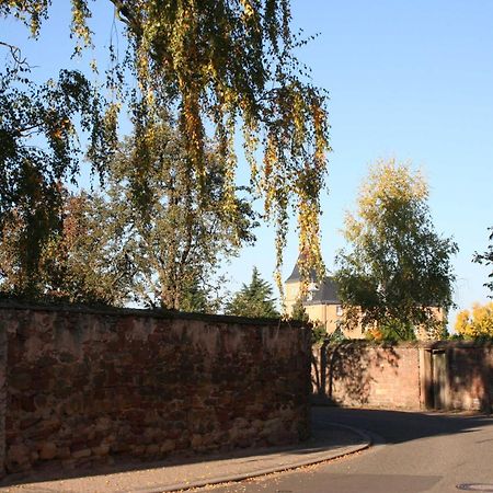 Ferienwohnung Spatzennest In Edesheim Ngoại thất bức ảnh